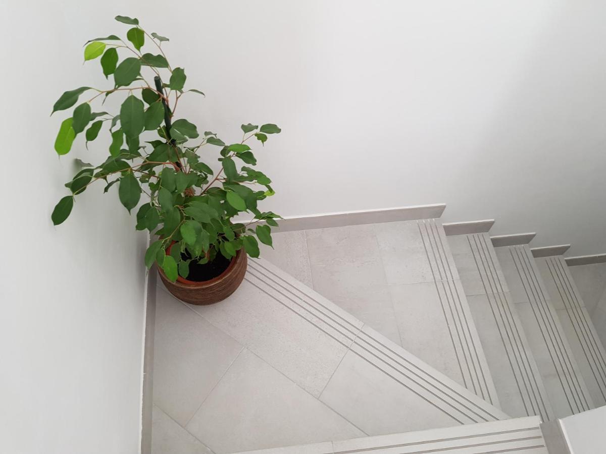Loft Abantos - 120M2 Mas Terraza Y Jardin Independiente San Lorenzo de El Escorial Kültér fotó